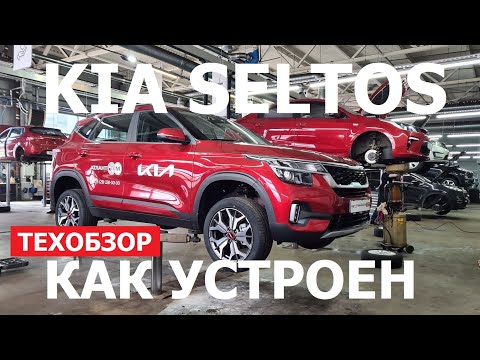 Брать или нет? Как устроен Kia Seltos обзор на подъёмнике антикор, оцинковка, шумка