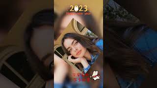 Download lagu Happy Chinese New Year  農曆新年快樂 mp3
