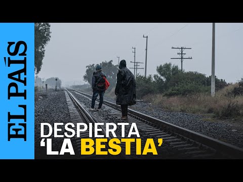 MEXICO | The journey of migrants aboard the train 'La Bestia' | EL PAÍS