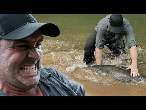 LE MONSTRE QUI M'AVAIT TIRÉ DANS L'EAU - Cyril Chauquet