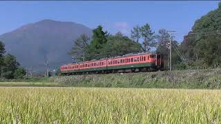 【撮影妨害】直前乱入 115系湘南色　信越線