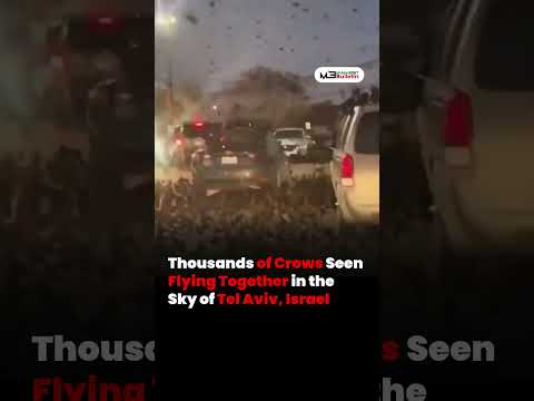 Thousands of Crows Swarm Tel Aviv Sky, Viral Videos Spark Concern