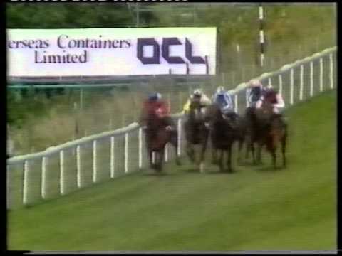 1986 Swettenham Stud Sussex Stakes
