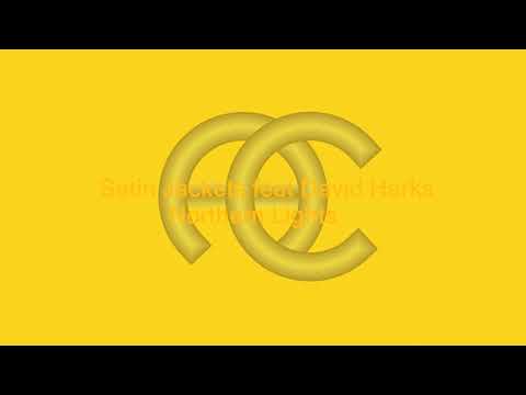 Satin Jackets feat David Harks -  Northern Lights