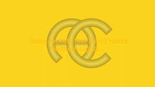 Satin Jackets feat David Harks -  Northern Lights