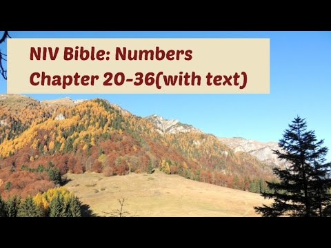 NUMBERS 20-36: NIV Audio Bible: (with text)