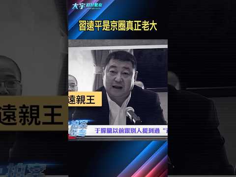 真的是習遠平親自督辦于朦朧？他才是京圈總幕後｜大宇拍案驚奇