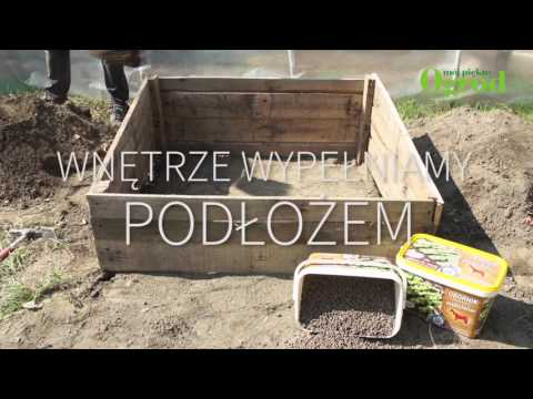 Jak zbudować inspekt ogrodowy