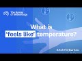 Ask the Bureau: What is 'feels like' temperature?