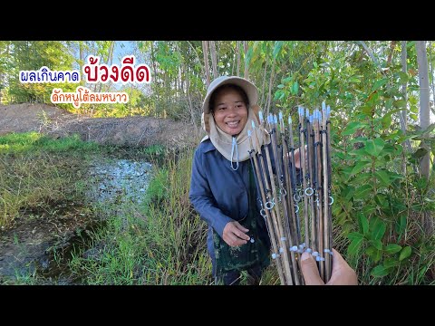 Perhaps the first sign of the year 69 will be a lonely one, sleeping in the fields, battling the ...