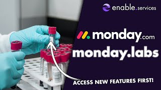 New monday.com content and features with monday.labs