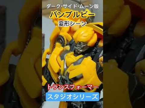 ハイフライヤーバンブルビー