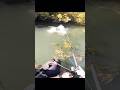 Giant Catfish SURFACE ATTACK Fishing Silure Pêche Catfish Attack Short Epiccatch