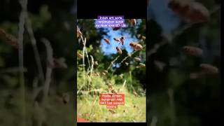 Download lagu ternyata inilah terjemahan‼️ serta isi dari surah 'An-Nahl tersebut'. #explore #ayat Qur'an #An-Nahl mp3 Download lagu ternyata inilah terjemahan‼️ serta isi dari surah 'An-Nahl tersebut'. #explore #ayat Qur'an #An-Nahl mp3