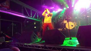 Terrorvision - American T.V.