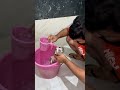 Shihtzu Puppy First Bath 2 Months Old