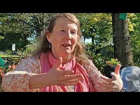 Se reconstruire par le Rêve Eveillé - Valérie Larose