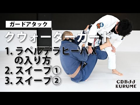 【クォーターガード】ラペルデラヒーバXの入り方/ スイープ①/スイープ②