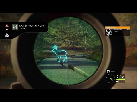 Abschuss von Hirsch