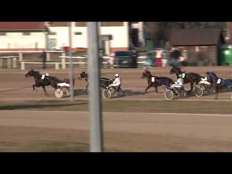 2021.01.31. 02. futam - KORMORÁN DÍJ