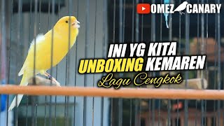 Download lagu video kenari lagu cengkok buat masteran paud mp3