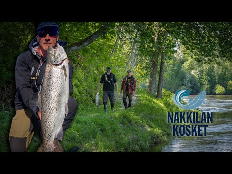 Suomen paras meritaimenpaikka?