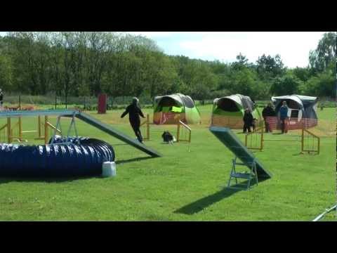 12-05-12 LM´12 Mühlenbeck Sylvia & Djuma A-weisser Hund