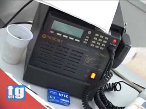 Cannabis Sessa Cilento