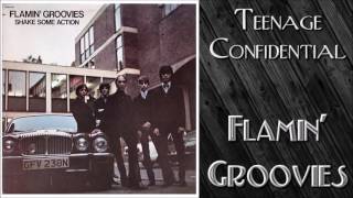Flamin' Groovies - Teenage Confidential