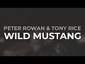 Peter Rowan & Tony Rice - Wild Mustang (Official Audio)