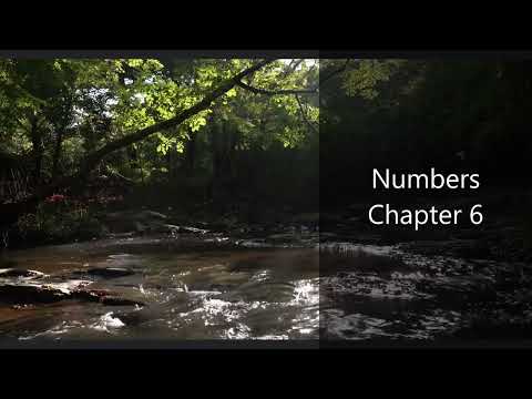 Numbers 6 25 Nkjv
