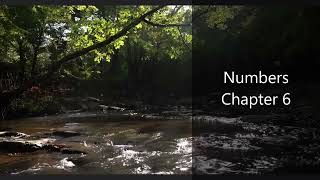 The Book of Numbers Chapter 6 - New King James Version (NKJV) - Audio Bible