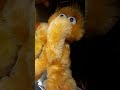 Big Bird And Snuffy Just 2 Best Friends Hanging Out