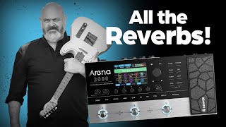 Donner ARENA 2000 | ALL THE REVERBS