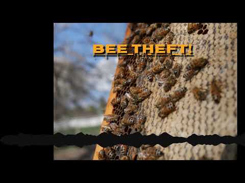 Meadcast - Episode #11 - Bee Theft