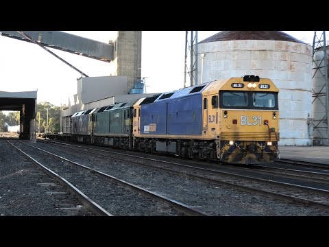BL31-G520-BL27 on 7901V at Dunolly.   11-03-23.