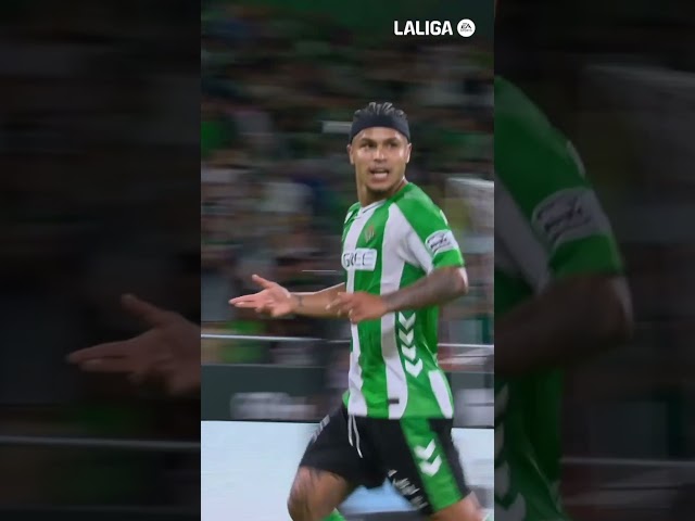 Vídeo relacionado con Real Betis - Edición CUCHO Hernández Camiseta sin Mangas