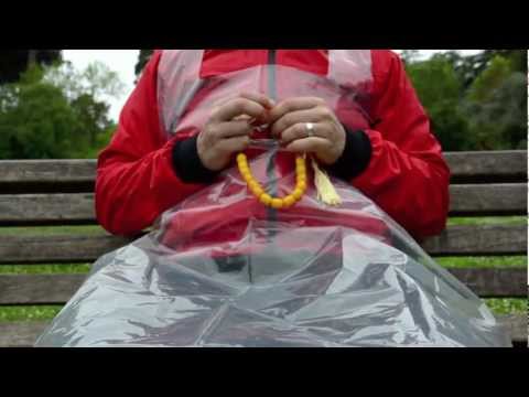 Artemio Revatti/Ivo Licausi - O corvo canta na canzone d'amore (official video)