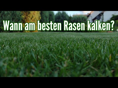 Wann Rasen kalken Zeitpunkt und bei welchem pH Wert Rasenkalk anwenden