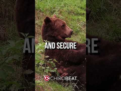 Just as wolves roam and salmon swim with innate wisdom, your body is guided by the same natural inte