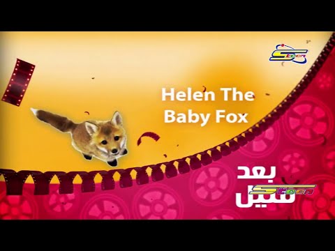 helen the baby fox بعد قليل على أفلام