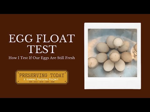 Egg Float Test, How I Test If Our Eggs are Still Fresh