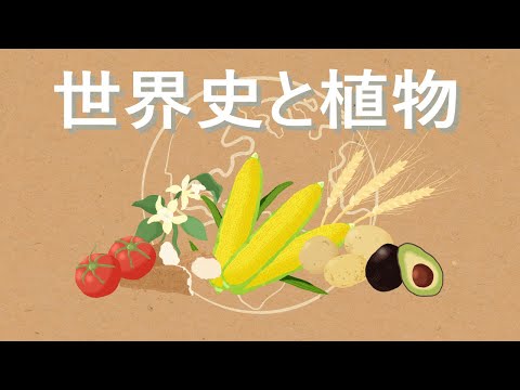 地図で見る: チャンネル
