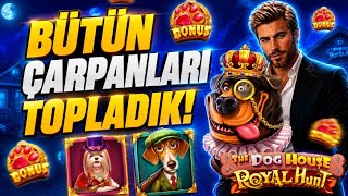 SLOT OYUNLARI 🐶 THE DOG HOUSE ROYAL HUNT 🐶 BÜTÜN ÇARPANLARI TOPLADIK 🚀 #slot #sl