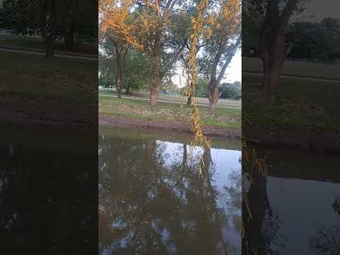 Visitamos Tapalque en la Provincia de Buenos Aires