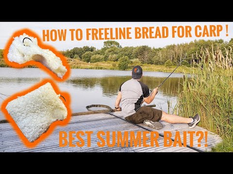 Surface Fishing For Carp - How To Freeline Floating Bread Flake - Epic Evening Session
