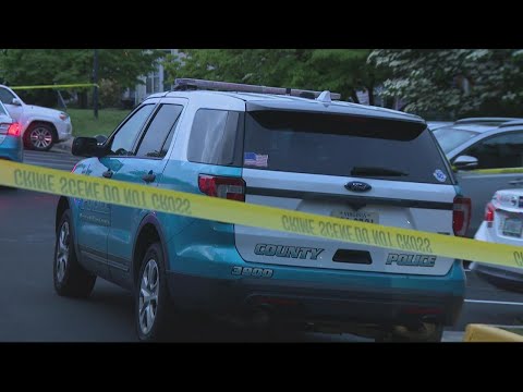 Prince William County Police Chief says dept. needs 100 officers