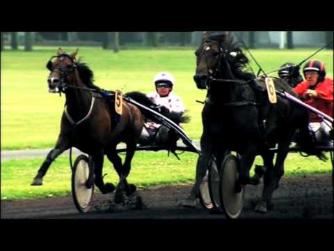 GNT ETE 2012. Riskaya récompensée pour son assiduité.