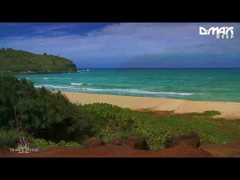 Sundrifting feat. Seven Palmberg - Saline Water (Original Mix) [D.MAX Deep] Promo Video