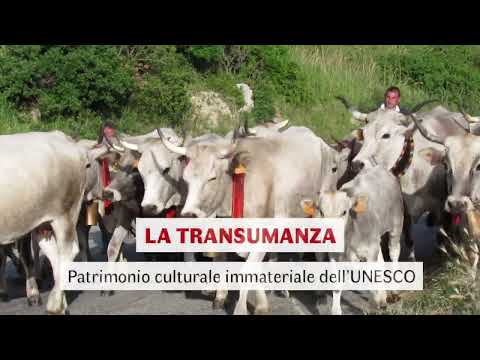 La Transumanza in Calabria